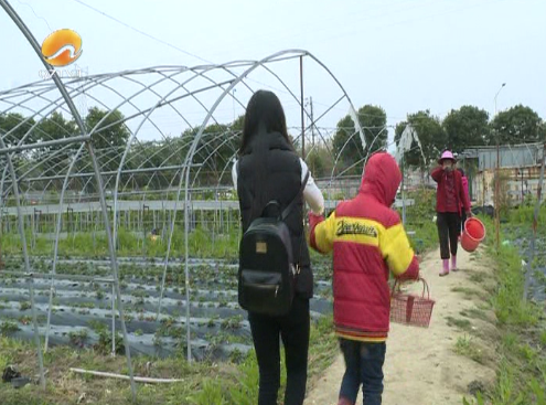 (泉州市爱星儿童启能康复中心负责人 杨若婷"我们急需各行各业的老师